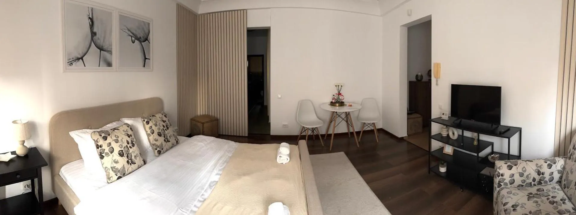 Studio By The Park Bucharest Apartment